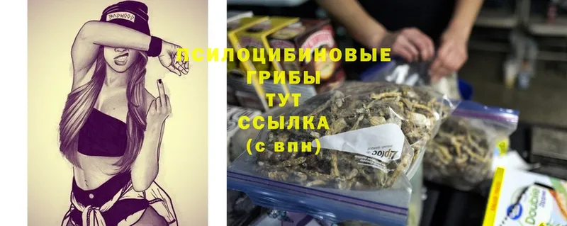 Псилоцибиновые грибы MAGIC MUSHROOMS Заозёрск